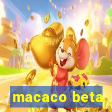 macaco beta