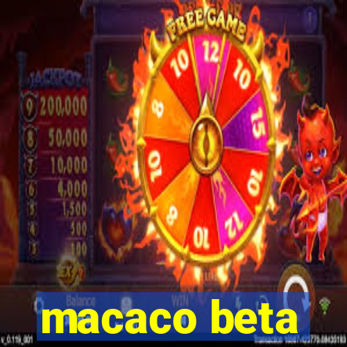 macaco beta