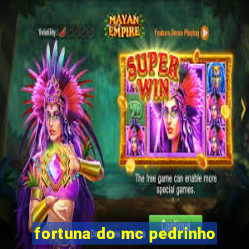 fortuna do mc pedrinho