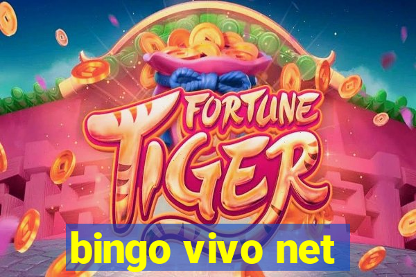 bingo vivo net