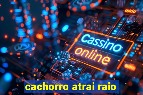 cachorro atrai raio