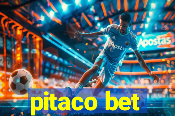 pitaco bet