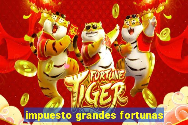 impuesto grandes fortunas