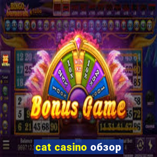 cat casino обзор