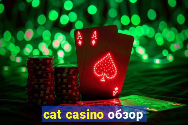 cat casino обзор