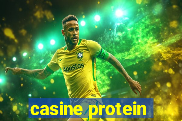 casine protein