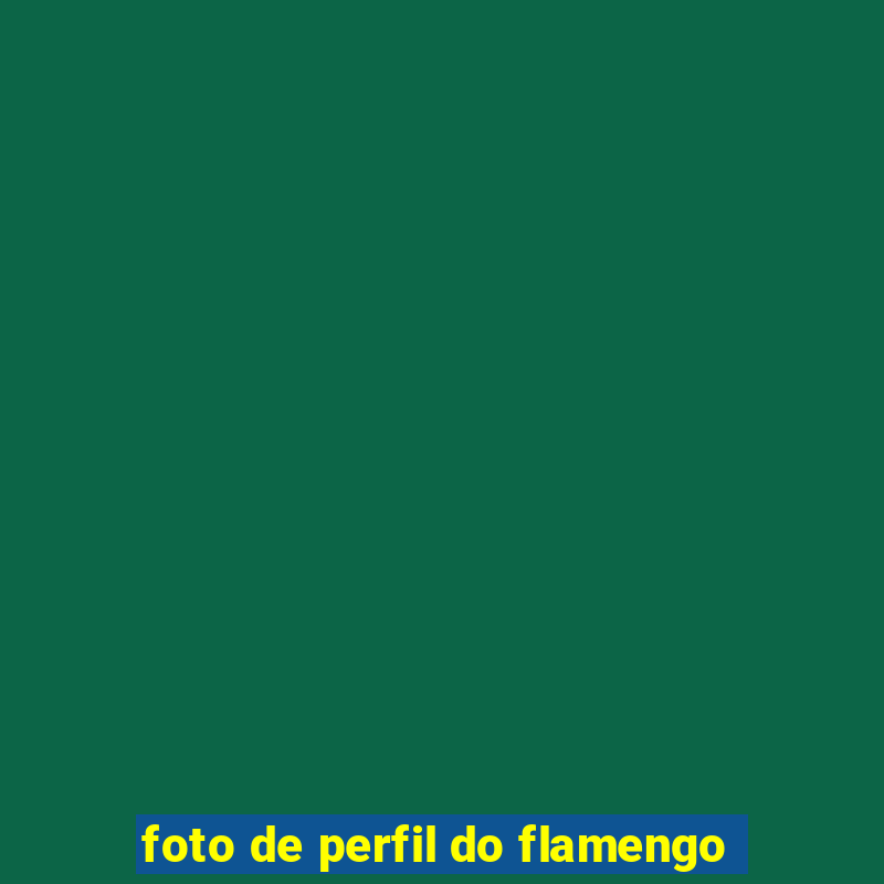 foto de perfil do flamengo