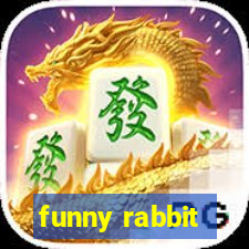 funny rabbit