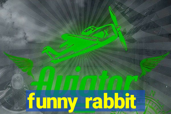 funny rabbit