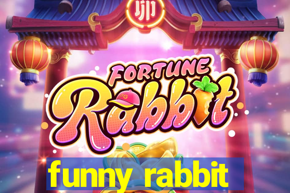 funny rabbit