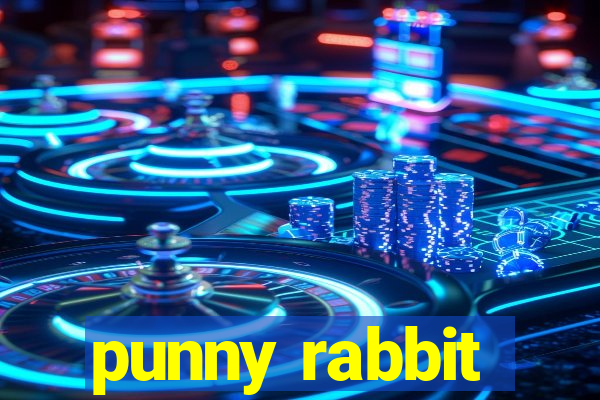 punny rabbit