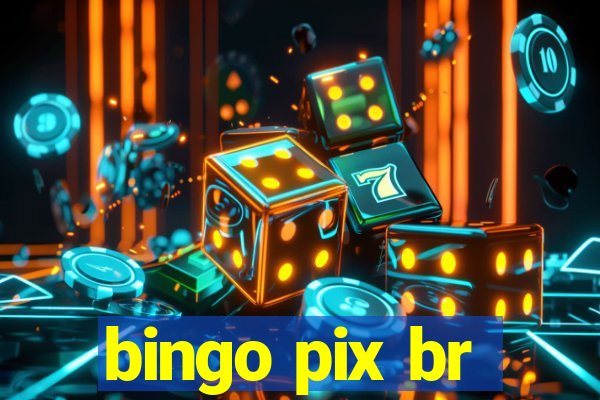 bingo pix br