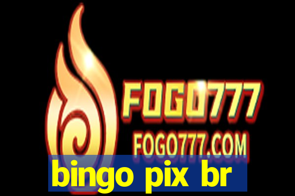 bingo pix br