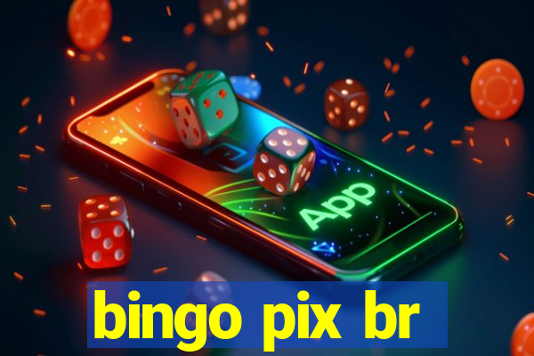 bingo pix br