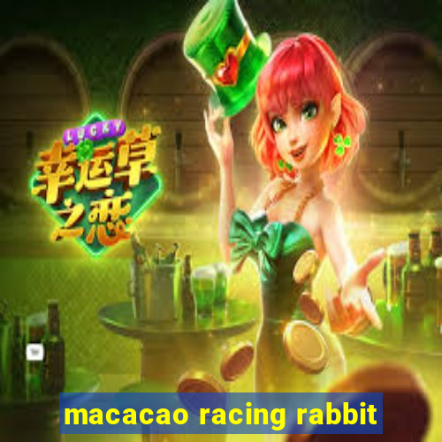 macacao racing rabbit