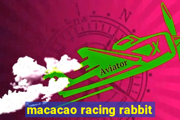 macacao racing rabbit