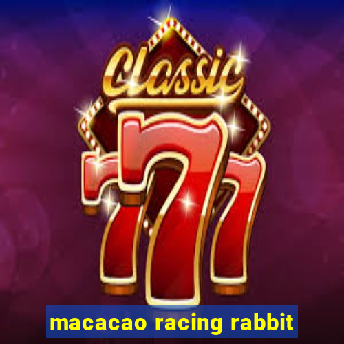 macacao racing rabbit