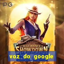 voz do google tradutor homem