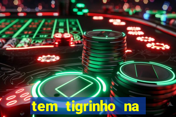 tem tigrinho na bet 365