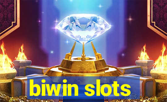 biwin slots