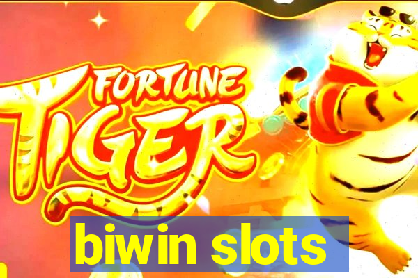 biwin slots