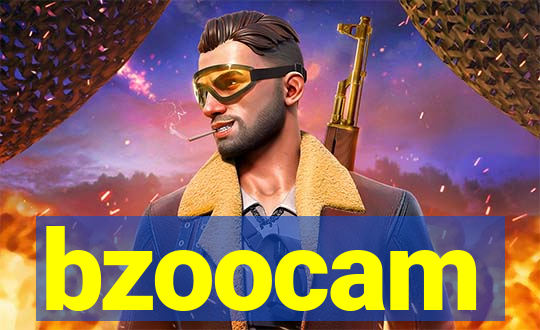 bzoocam