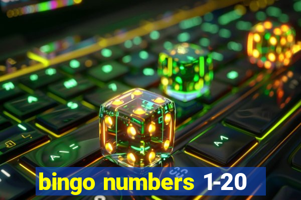 bingo numbers 1-20