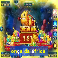 onça da áfrica