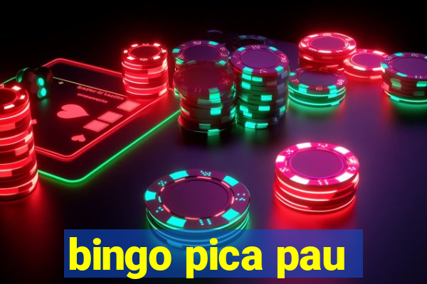 bingo pica pau