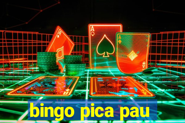 bingo pica pau