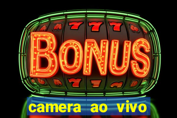 camera ao vivo terminal vila nova cachoeirinha