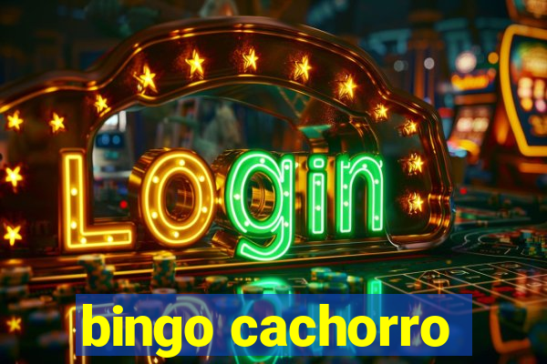 bingo cachorro