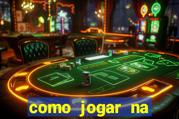 como jogar na lotinha do jogo do bicho