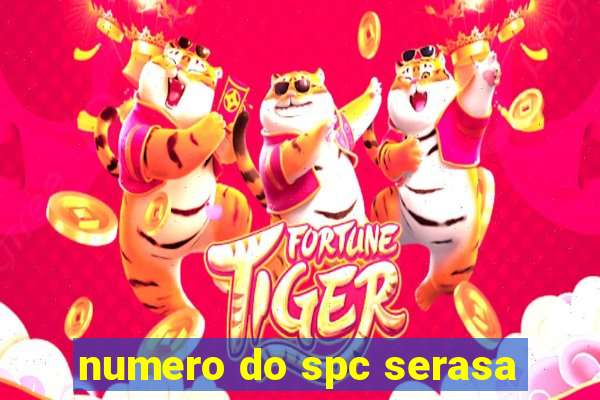 numero do spc serasa