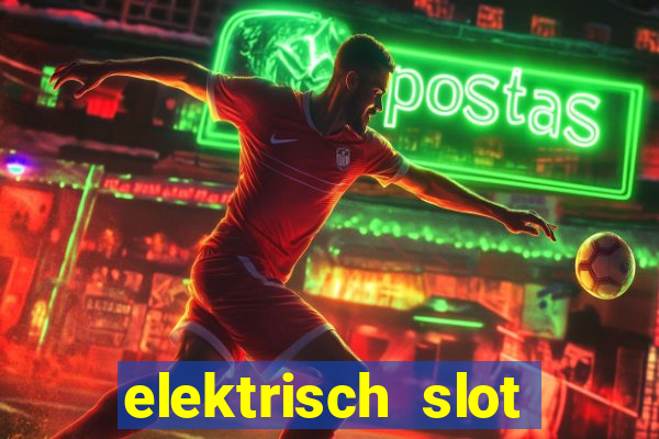 elektrisch slot houten poort