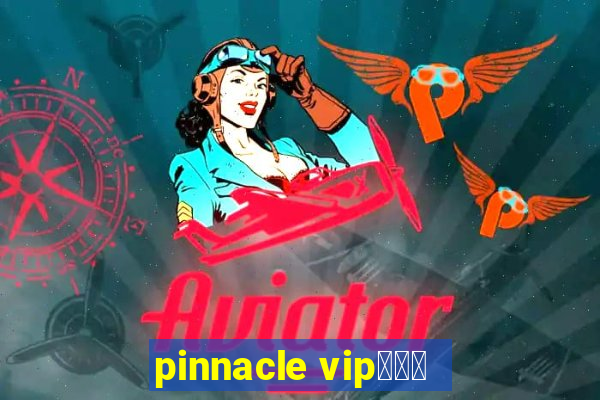 pinnacle vipコード