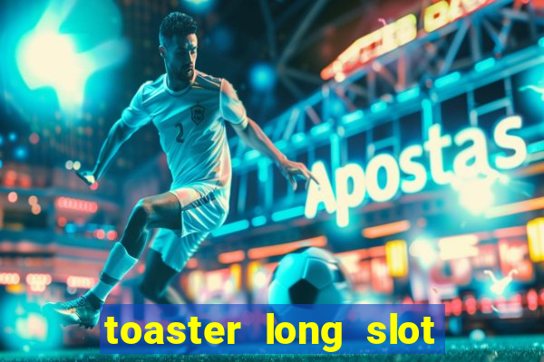 toaster long slot 2 slice