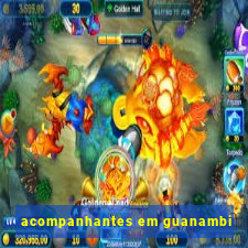 acompanhantes em guanambi