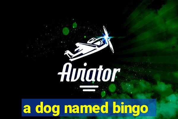 a dog named bingo