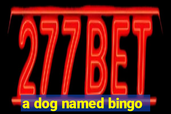 a dog named bingo