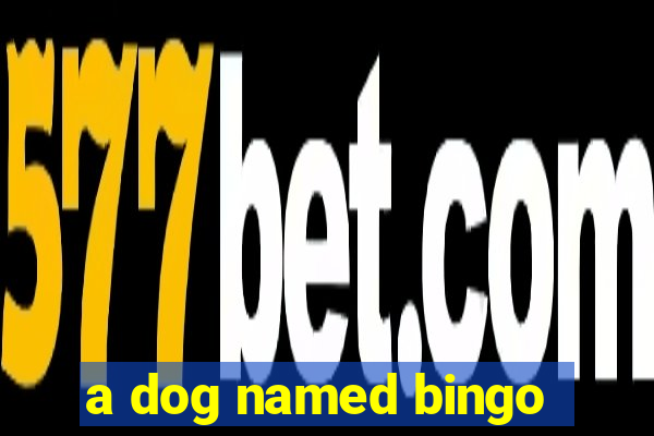 a dog named bingo