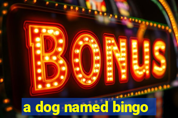 a dog named bingo