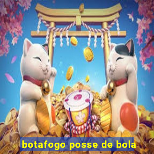 botafogo posse de bola