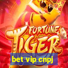 bet vip cnpj