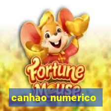 canhao numerico