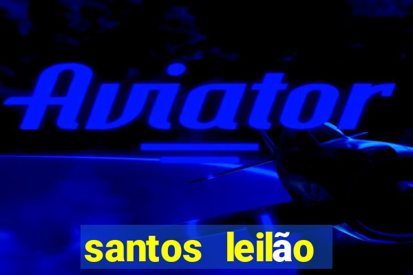 santos leilão passo fundo