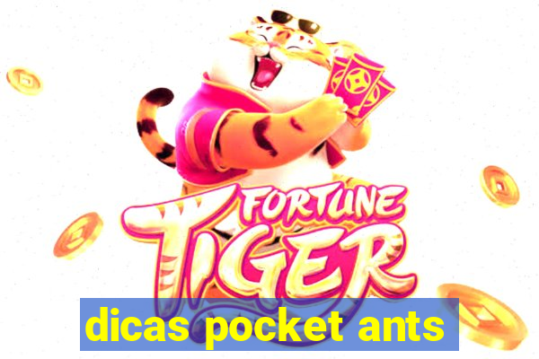 dicas pocket ants