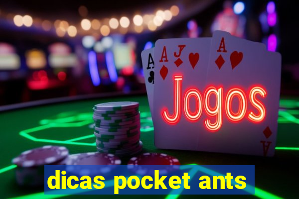 dicas pocket ants