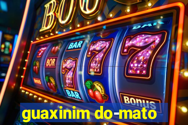 guaxinim do-mato