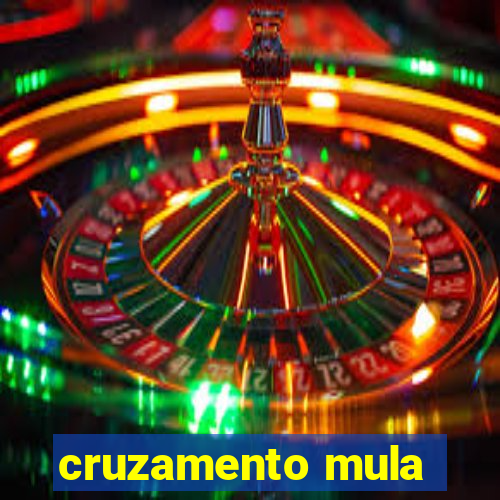 cruzamento mula